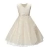 Girls Party Wear Clothing For Children Summer Sleeveless Lace Princess Wedding Dress Girls Teenage Well Party Prom Dress