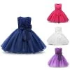 Summer Flower Princess Girl Dress Lace Rose Party Wedding Birthday Girls Dresses Clothes Princess Tutu Kids Dress Elegant