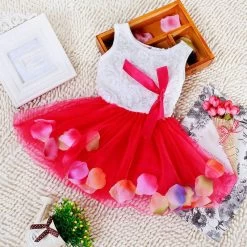 5 Color Summer Cotton Baby Aestheticism Fairy Tale Petals Colorful Dress Chiffon Princess Born Baby Dresses