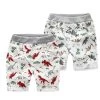 Loose Boys Shorts Summer Children Beach Wear Dinosaur Pattern Boys Bottom Pants 2~7 Ages Kids Boys Character Sports Shorts CI031