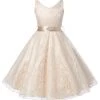 Girls Party Wear Dress Kids Flower Lace Children Girls Elegant Ceremonies Wedding Birthday Dresses Teenagers Prom Gowns