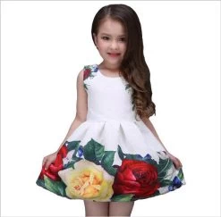 Summer Girls Dress White Designer Brand Children Clothing Rose Flower Princess Wedding Party Lace Girl Clothes