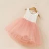 Flower Girl Party Dress Baby Birthday Tutu Dresses For Girls Lace Baby Vest Baptism Dresses Pearls Kids Wedding Dress